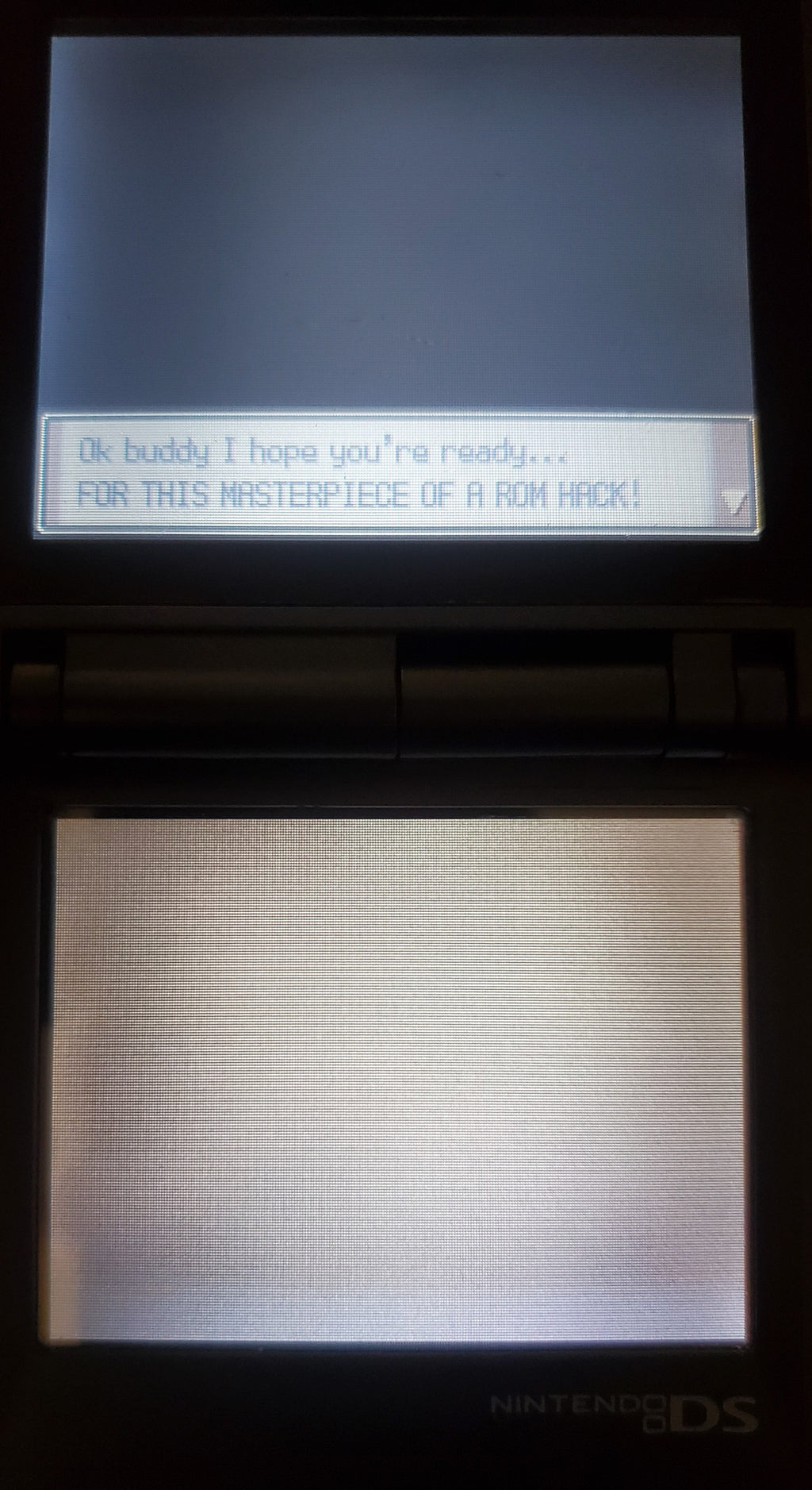 Pokemon Bloody Platinum Redux Video Game Nintendo DS with Box